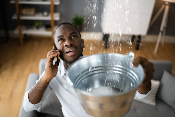 Best Water damage restoration near me  in Eldora, IA