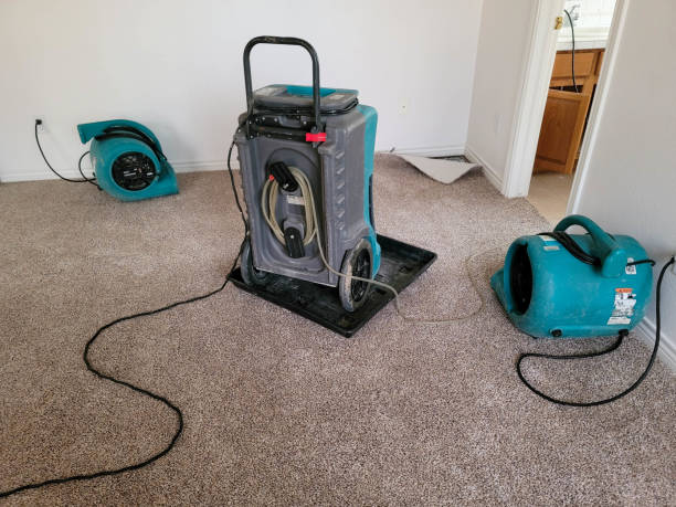 Best Residential water damage restoration  in Eldora, IA