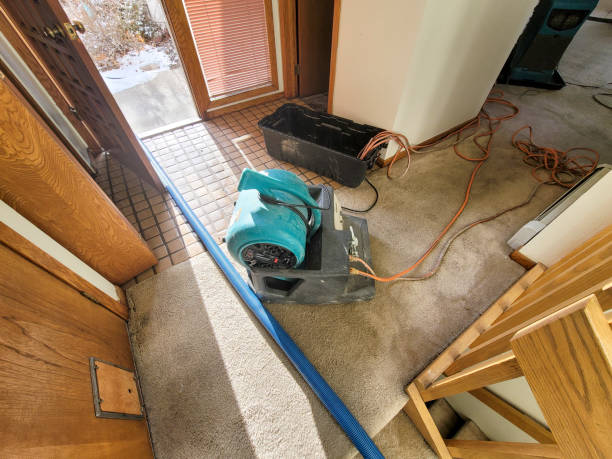 Carpet water damage restoration in IA