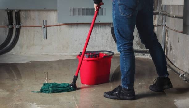 Best Flood damage cleanup  in Eldora, IA