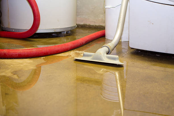 Best Emergency water damage restoration  in Eldora, IA