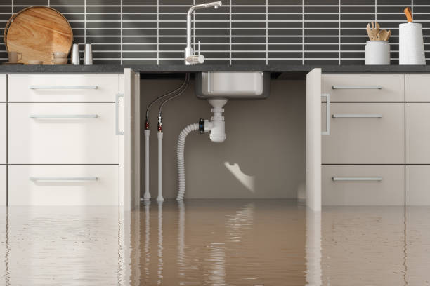 Best Sewage cleanup and water damage restoration  in Eldora, IA