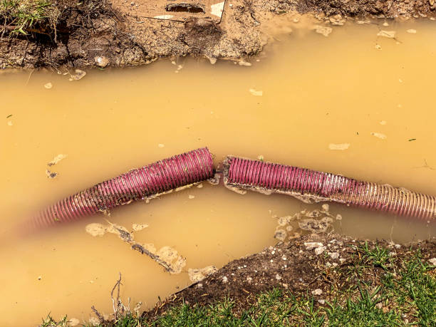 Best Professional water damage repair  in Eldora, IA