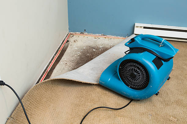 Best Sewage cleanup and water damage restoration  in Eldora, IA